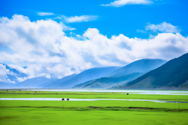 香格里拉纳帕海风景区,高清,摄影图,摄影图片,图片大全,摄影图免费下载